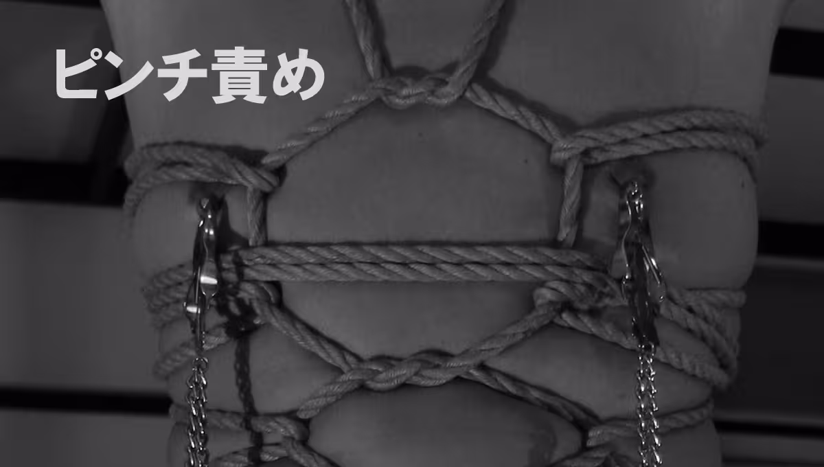 ニップルピンチなどを使用した挟む苦痛を楽しんだ時の内容を含む投稿一覧